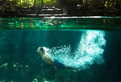 Cenotes Tours from Playa del Carmen