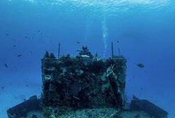 Cozumel Scuba Diving