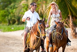 Mazatlan Horseback Riding Tours