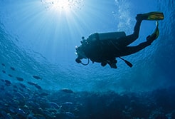 Puerto Vallarta Scuba Diving