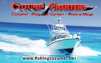 Cozumel Charters by Johann & Sandra